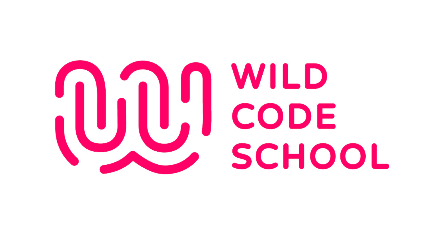 Wild Code School